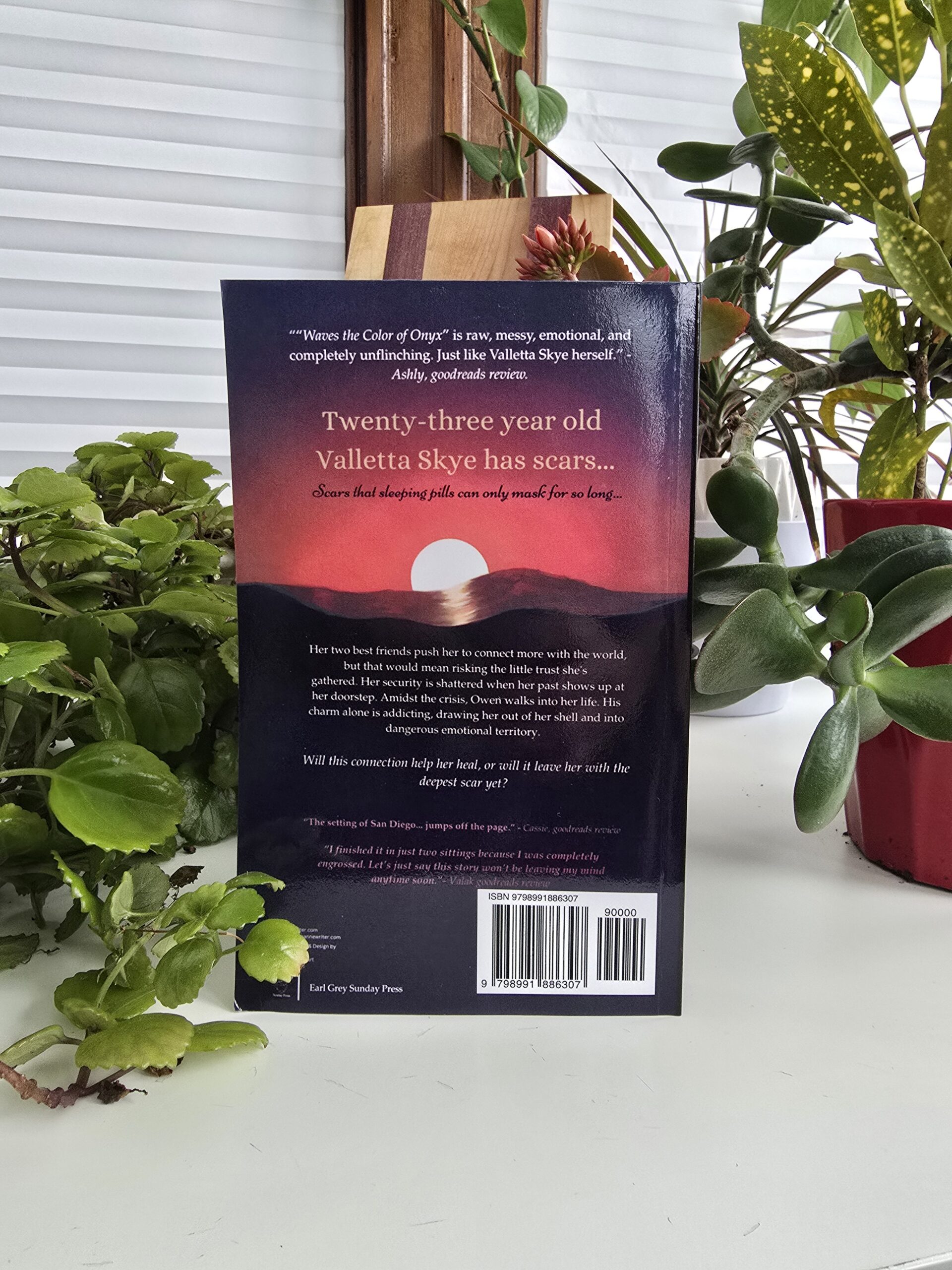 Image of the back cover of the book a buyer would receive