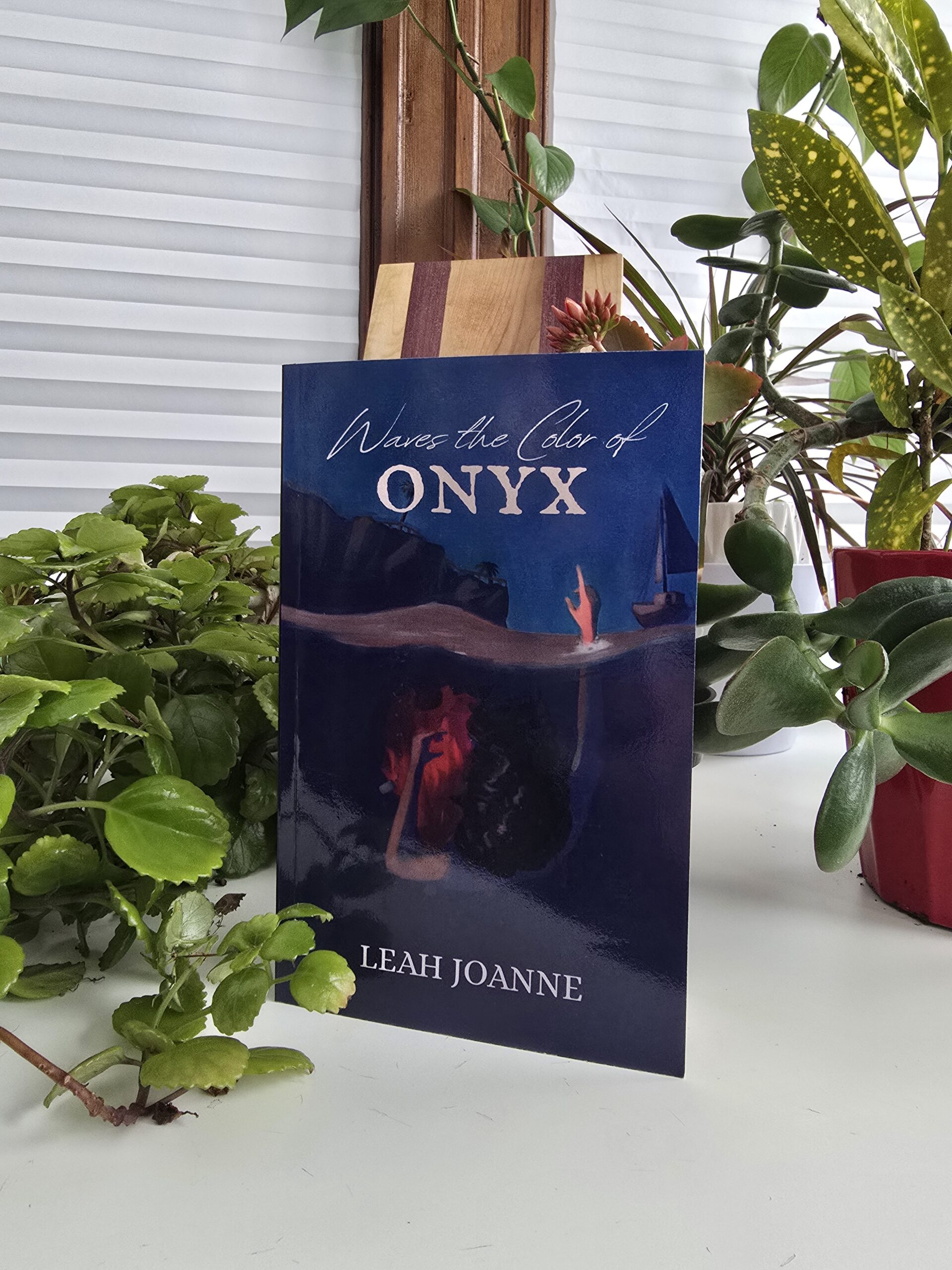 Image of the book the buyer would receive